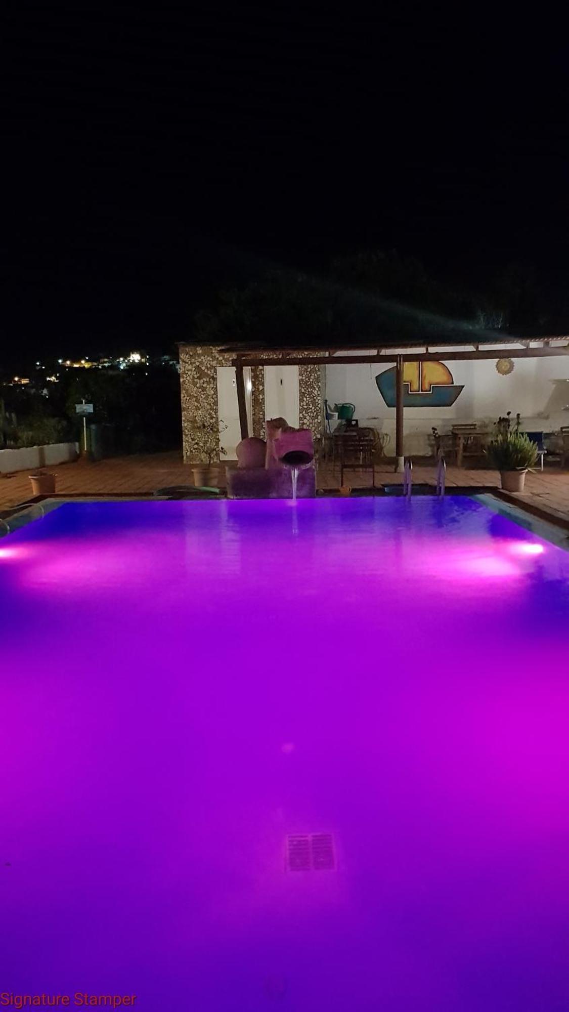 Hotel Bellavista ايسكيا المظهر الخارجي الصورة