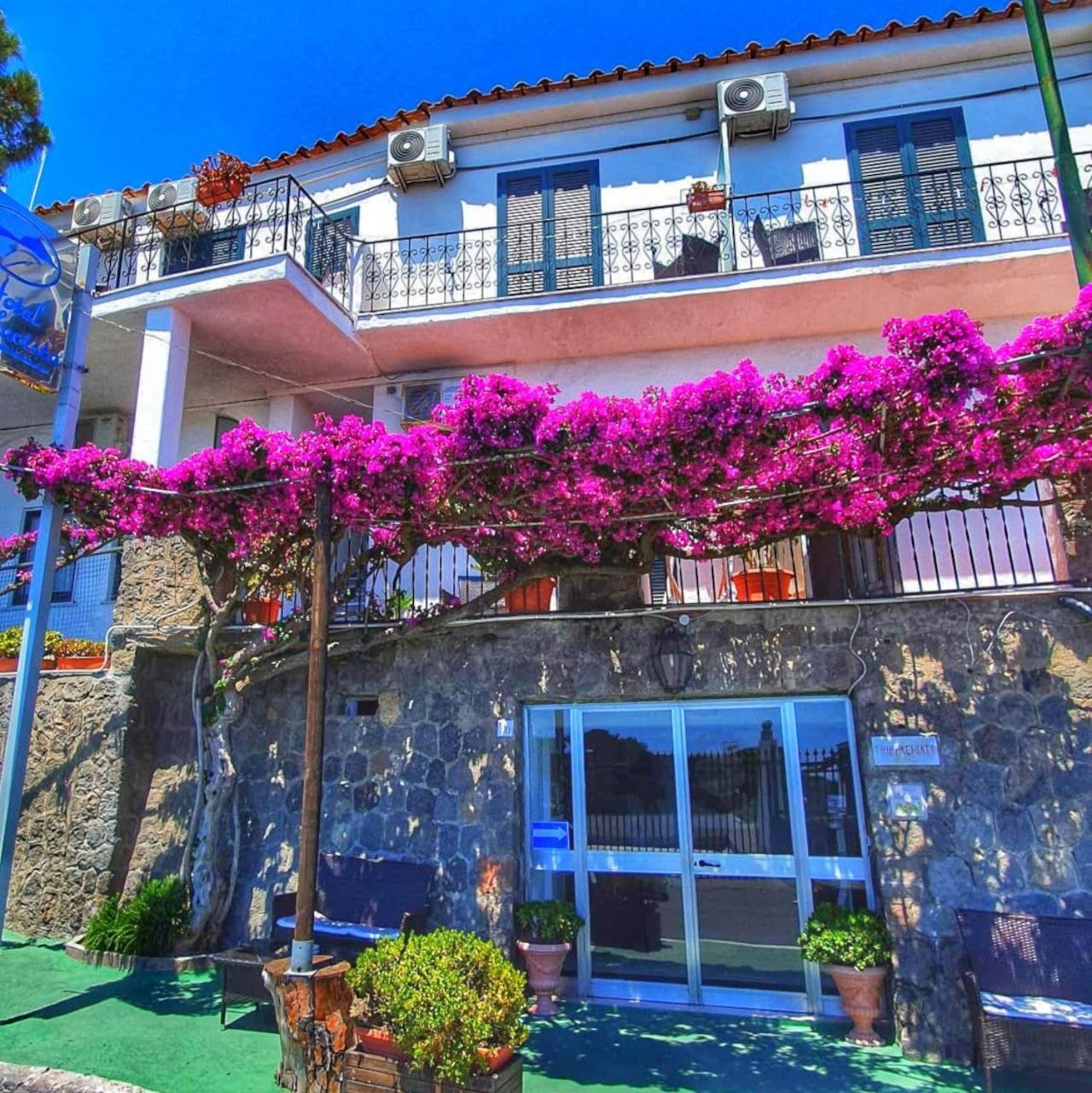 Hotel Bellavista ايسكيا المظهر الخارجي الصورة